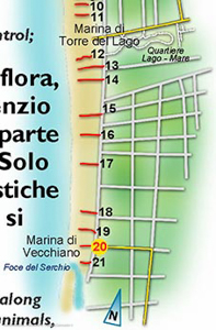 Parco di Migliarino Massaciuccoli San Rossore 137